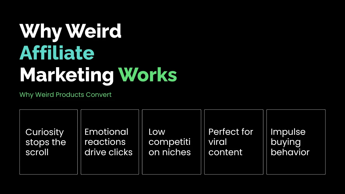 weirdwealth.io | Weird Affiliate Products That Convert Like Crazy Why Weird Affiliate Marketing Works