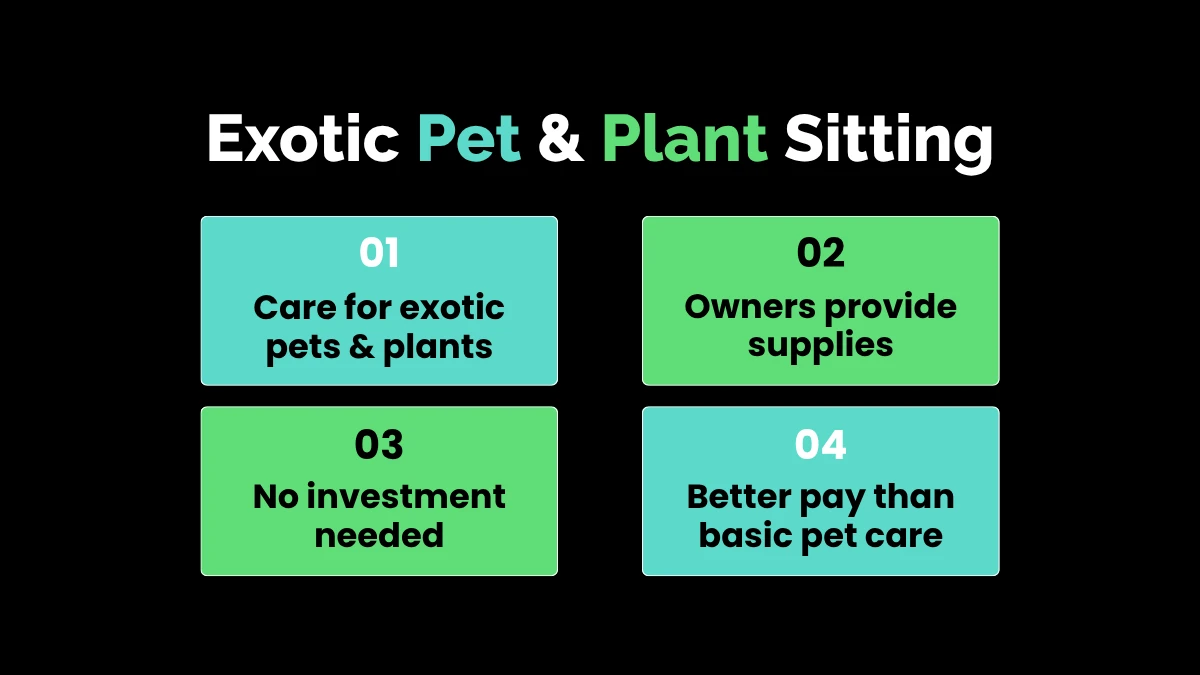 weirdwealth.io | 12 Quirky Side Hustles for College Students With No Money 1. Exotic Pet and Plant Sitting