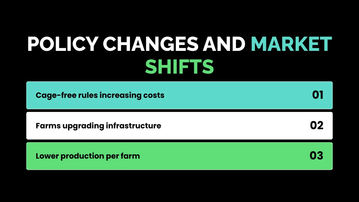 weirdwealth.io | Why a Dozen Eggs Costs So Much in 2026 Policy Changes and Market Shifts