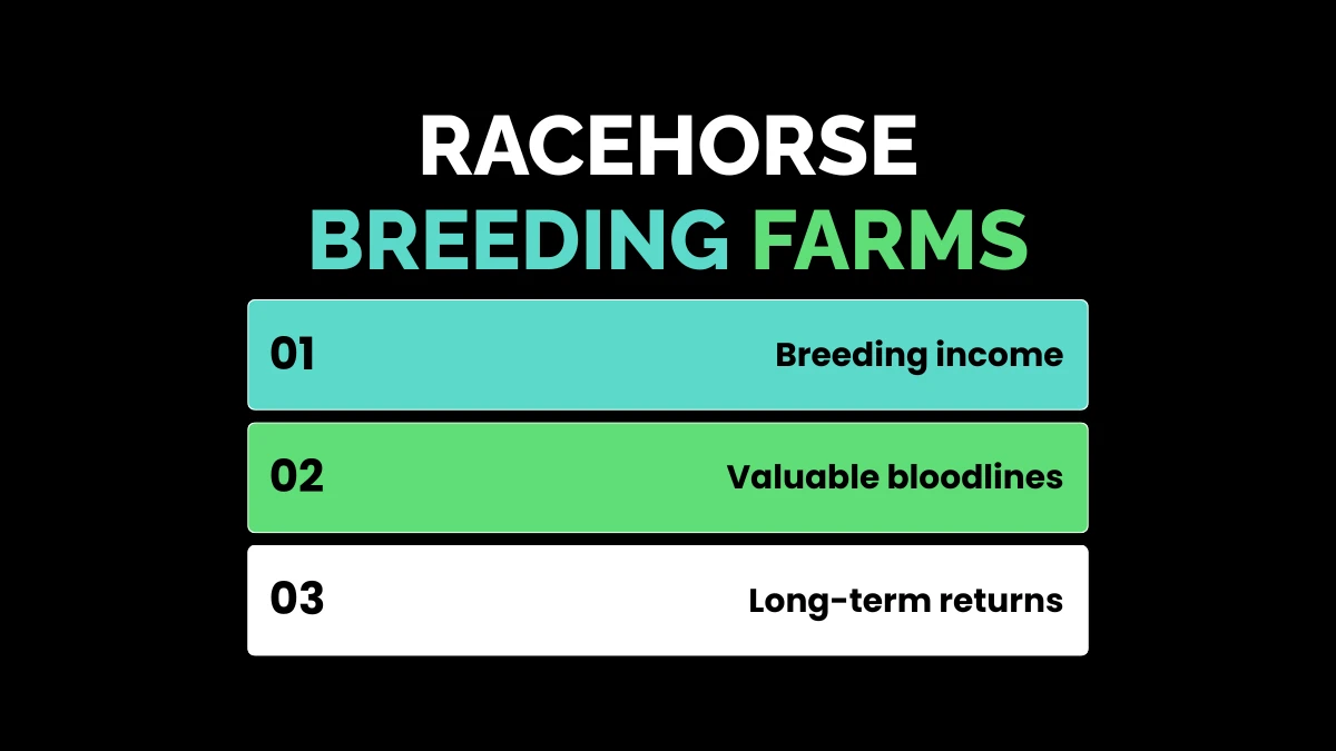 18. Racehorse Breeding Farms