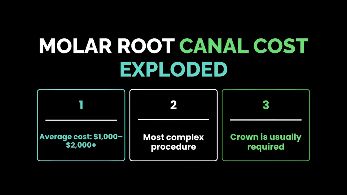 weirdwealth.io | Root Canal Price in 2026: Price by Tooth & Insurance Molar Root Canal Cost Exploded