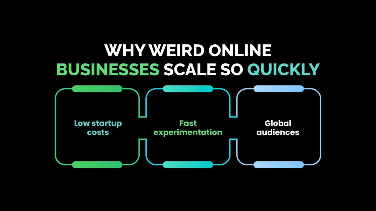 weirdwealth.io | 8 College Dropouts Who Made Millions With Weird Online Businesses Why Weird Online Businesses Scale So Quickly