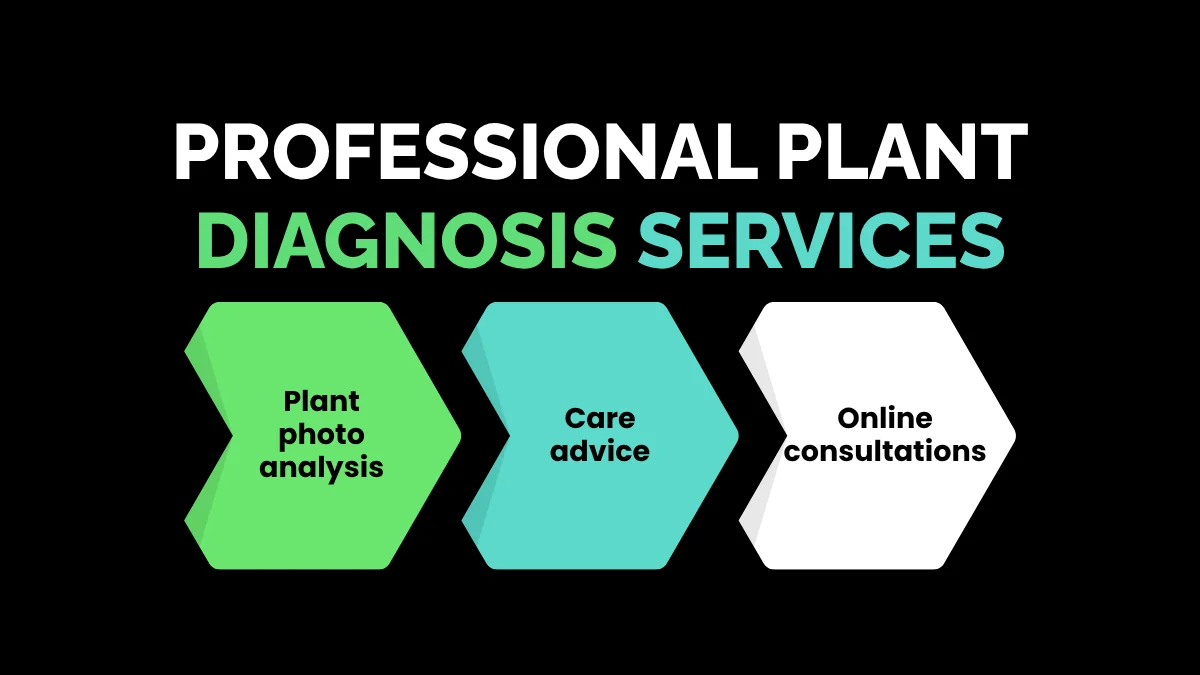 weirdwealth.io | 15 Weird Success Stories: How Regular People Built Wealth Online 12. Professional Plant Diagnosis Services